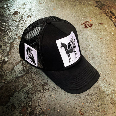 DE Pegasus hat